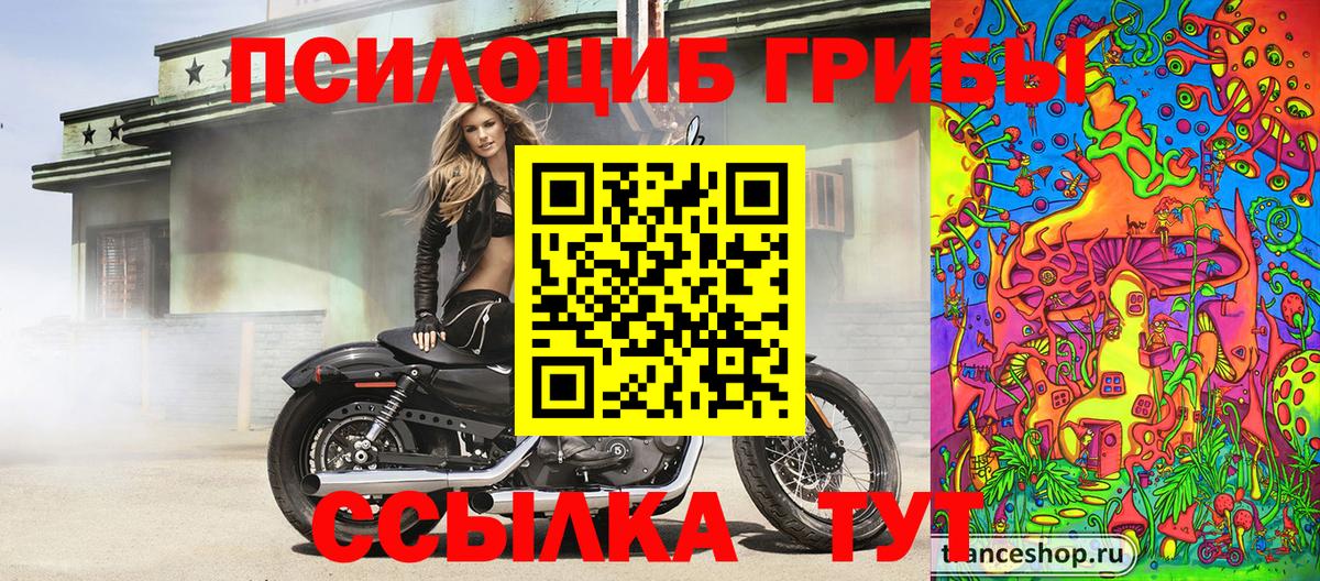 Ангарск  Галлюциногенные грибы Cubensis  Вход с VPN 